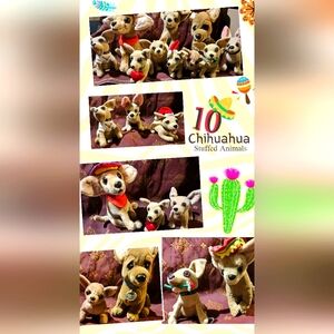 10 Chihuahua Stuffed Animal Collection!